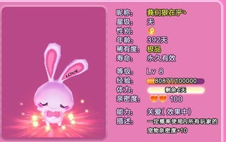 如何巧妙地给可爱的兔子挑选一个既独特又贴心的名字呢？