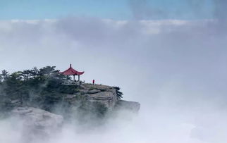 雨后幽径与风水之迷：那幽魂踏歌行，这景象，难道不是令人神往的吗？