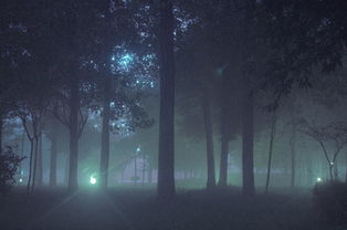 夜晚的害怕与阴气煞气