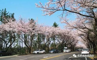 二、人挤人时间表