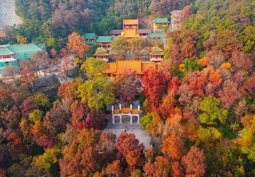1. 红叶景观