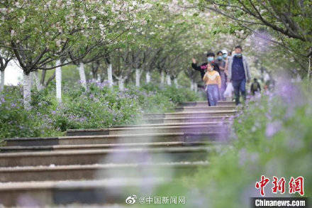 那些乱七八糟的景点你也得堪堪