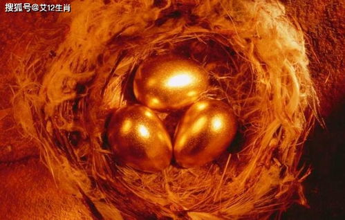 1 月——新年冲刺的黄金期
