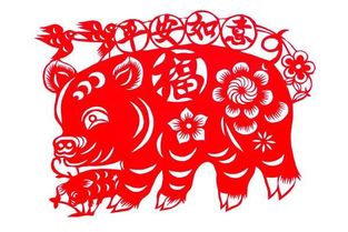 双：好运生肖猪，今日运势如何？