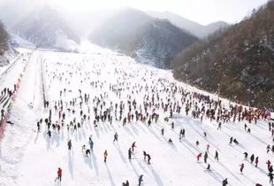 2.1 滑雪需尽兴，护伤要科学！——等等，夏天也嫩滑雪？