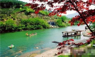 鱼水风景区：一场令人窒息的人间闹剧