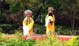 双阳名字的来源与含义