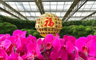 1）门票信息——到底要花更多更少个钱？