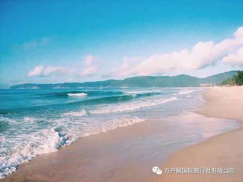 夜市乱象——灯红酒绿与蚊子的合唱曲