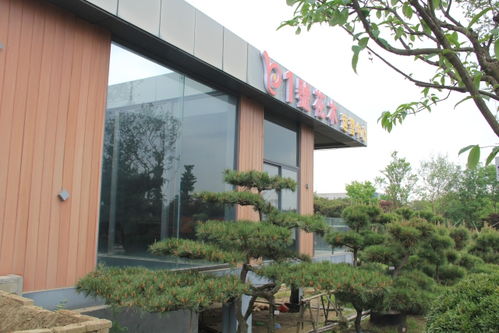 店面设计？累觉不爱！