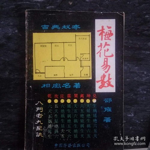 梅花易数是个啥玩意儿？