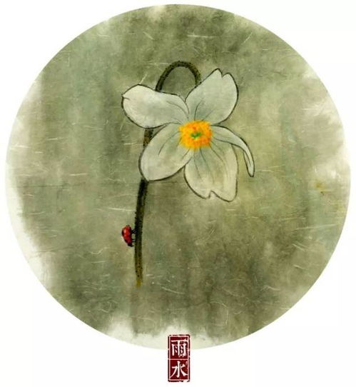 立夏时节，如何根据八字和易经二十四节气调整养生方法？