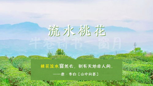 1）立冬打雷要反春