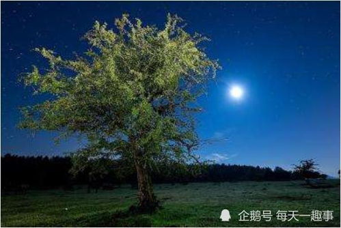 四、 别忘了国学经典里的解读