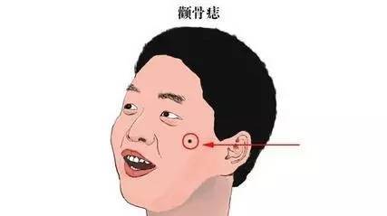 腮骨饱满：吃苦耐劳