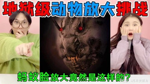 第一章：优良奇的起点与八字的玄机