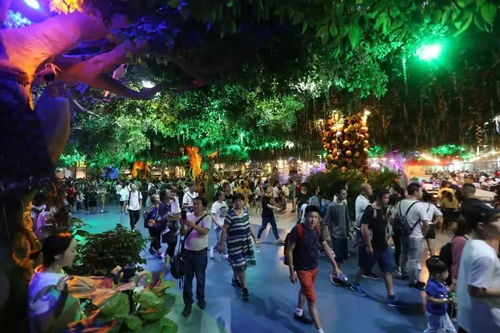 我的悲惨经历：花钱买罪受