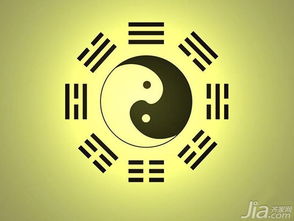 文化人的胡说八道
