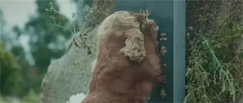 八字命盘暗藏玄机