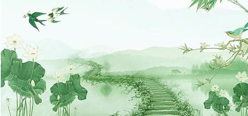 鼓浪屿的别样风情