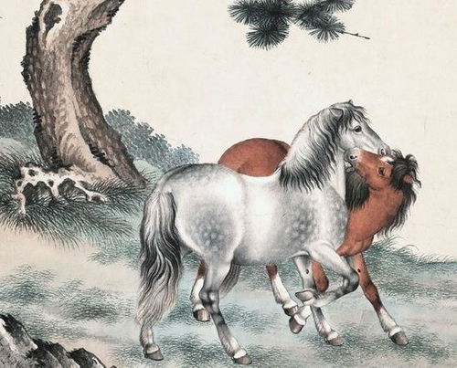 女方属龙男方属马财运如何？这样的婚姻是否合适？