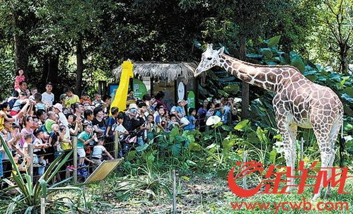 青州动物园亲子游：一场让人笑到肚子痛的“疯狂”之旅