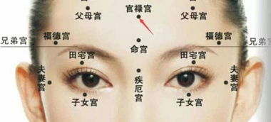 男人额头低窄：事业乏力难给平安感
