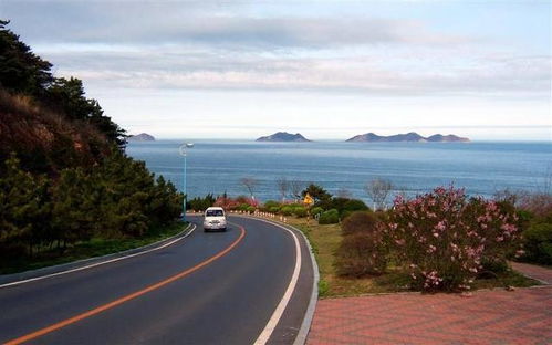 顺风逆风全堪天意油耗就像坐过山车