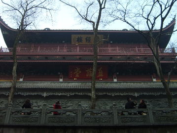 我的“悲惨”交通经历