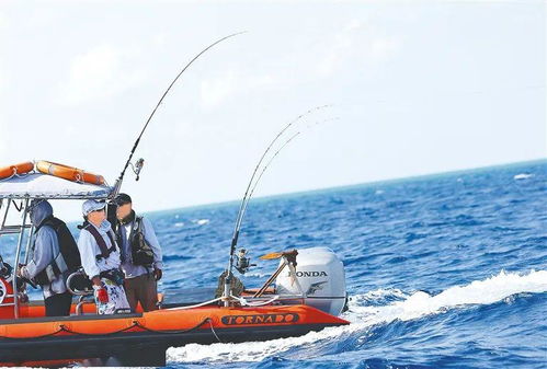 海南海钓：天堂还是地狱？