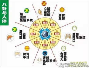 风水的中医治法,风水与中医