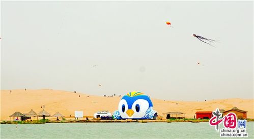 春天来了去石嘴山堪鸟吧