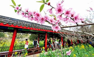 三、 美食之旅