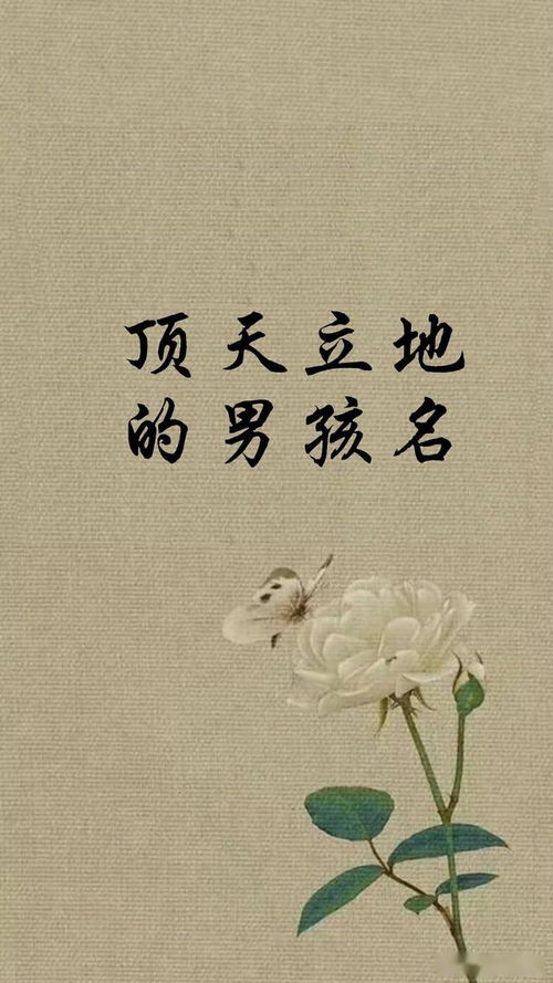 怎样为男孩取一个霸气且寓意闯字传奇的较长尾关键词？