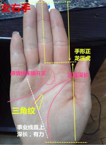 天河纹手相中，哪些手纹特征预示着十种富贵？