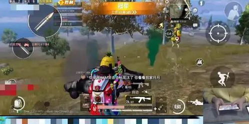 战场上出现的生肖是哪个？战场指的是哪种生肖的含义是什么？