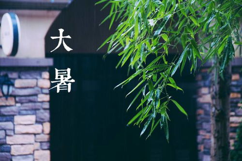 千年大暑风俗，浙江夏日风情爆款来袭！