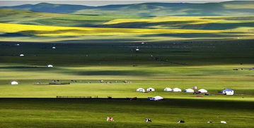 跟团游 vs. 自助游：哪个更划算？