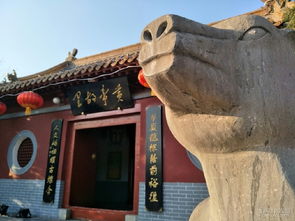 一、 说走就走的“周末逃离”