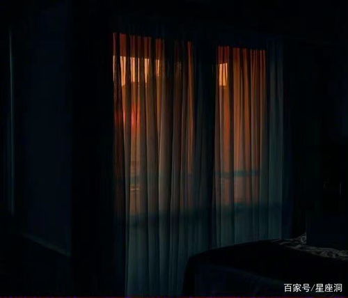 哪个星座最看重生活品质？