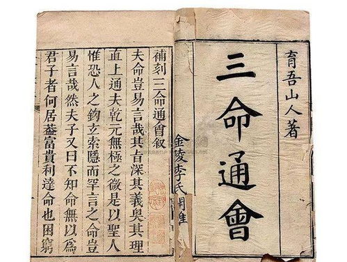 传统文化中，八字命理是如何精解并体现其独特关系的呢？