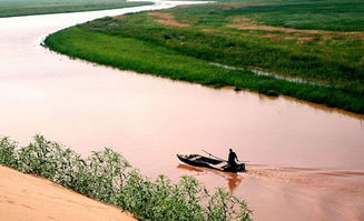 黄沙古渡：玩命之旅与平安手册的矛盾