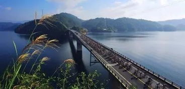路上风景：辣眼睛预警