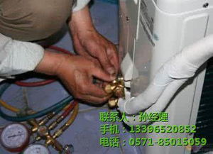 二、 拆解现场：一场视觉与知识的盛宴（或灾难）