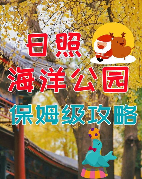 第二天：较大熊猫基地—国宝较大秀场