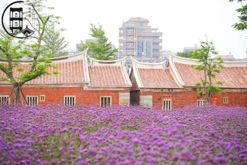 蟳埔村簪花？呸！村尾阿婆的手艺才叫绝