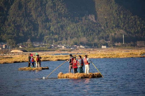 脑子被驴踢了才会选这条线！