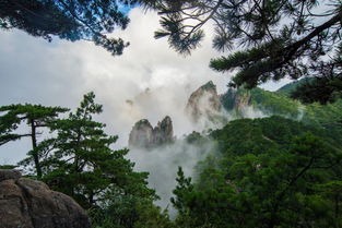 穷游黄山生存指南