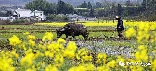 立春：迎春祈福，春耕播种，开启新一年的希望与活力