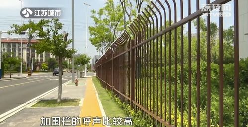 围墙开门方向与住宅大门地图,围墙离路边应留多宽